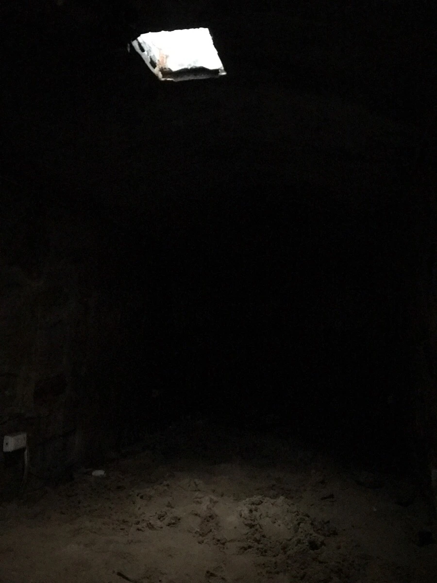 IMG_8276.jpg?type=w966