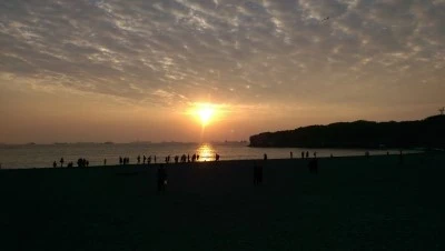 IMAG3147.jpg?type=w2