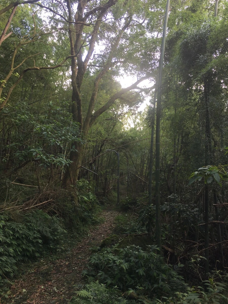 IMG_5354.JPG?type=w966