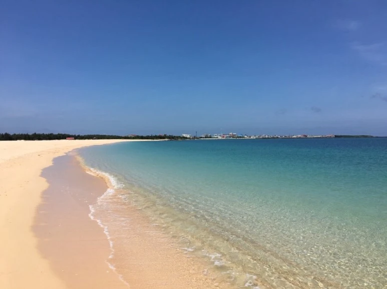 attachImage_3628789356.jpeg?type=w773