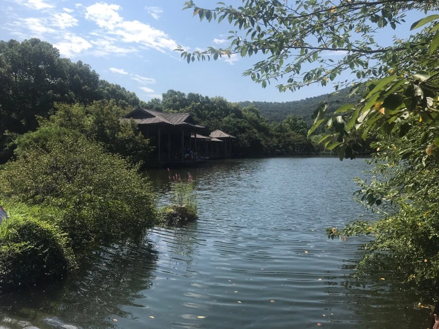 IMG_1208.jpg?type=w1