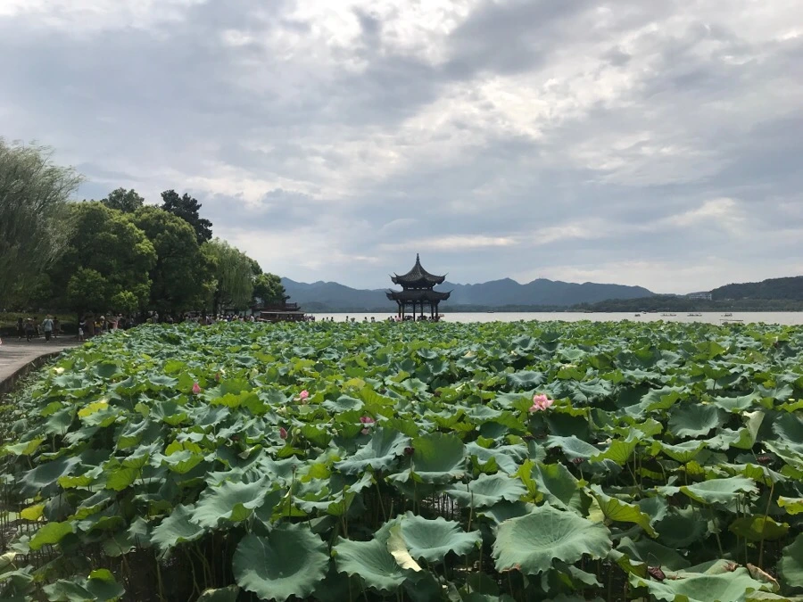 IMG_0555.jpg?type=w966