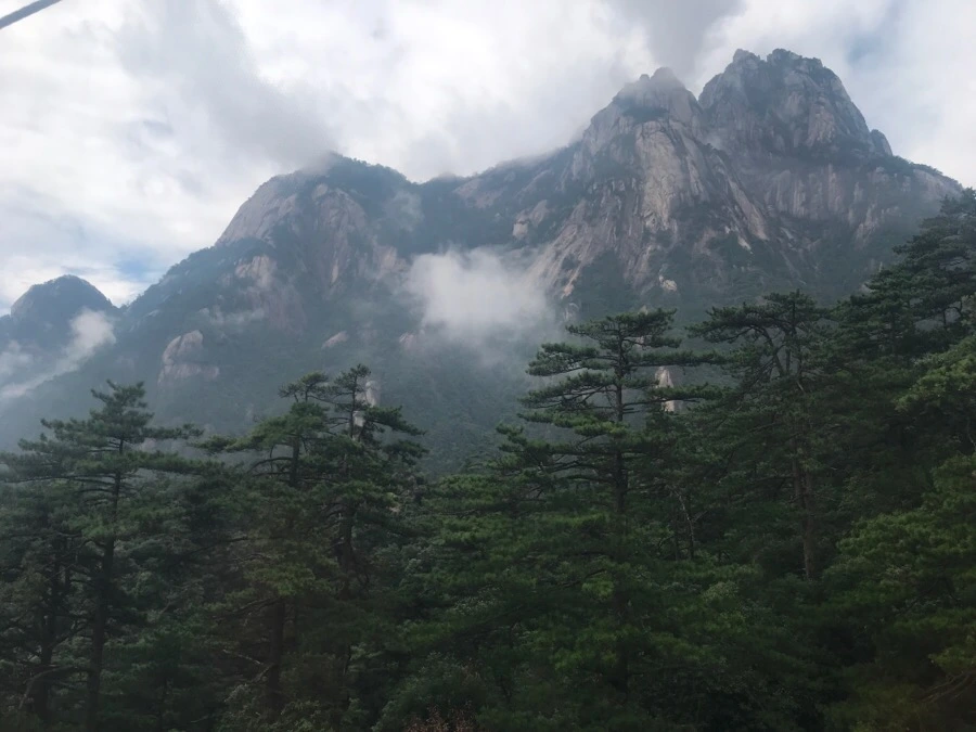 IMG_0698.jpg?type=w966