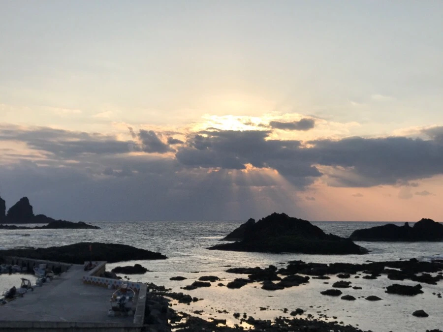 IMG_3850.jpg?type=w966