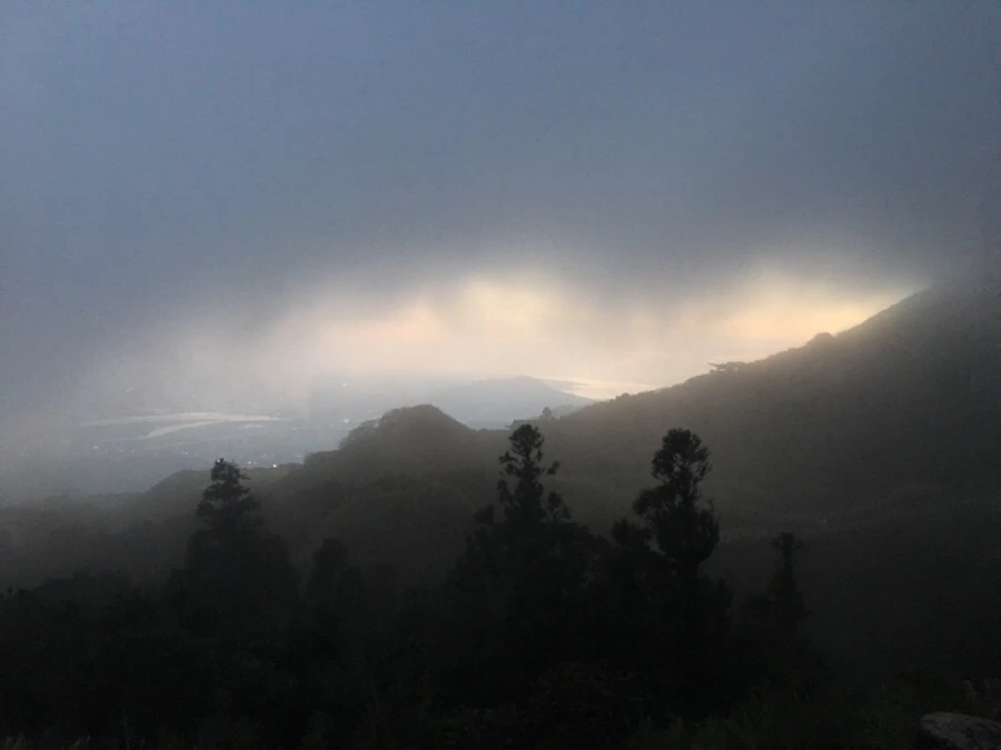 IMG_5445.JPG?type=w966