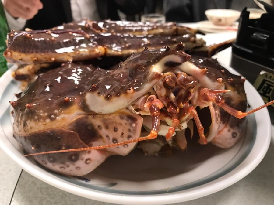 IMG_0511.jpg?type=w966