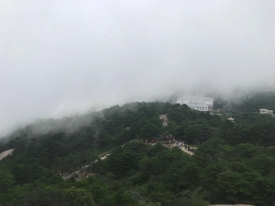 IMG_0803.jpg?type=w966