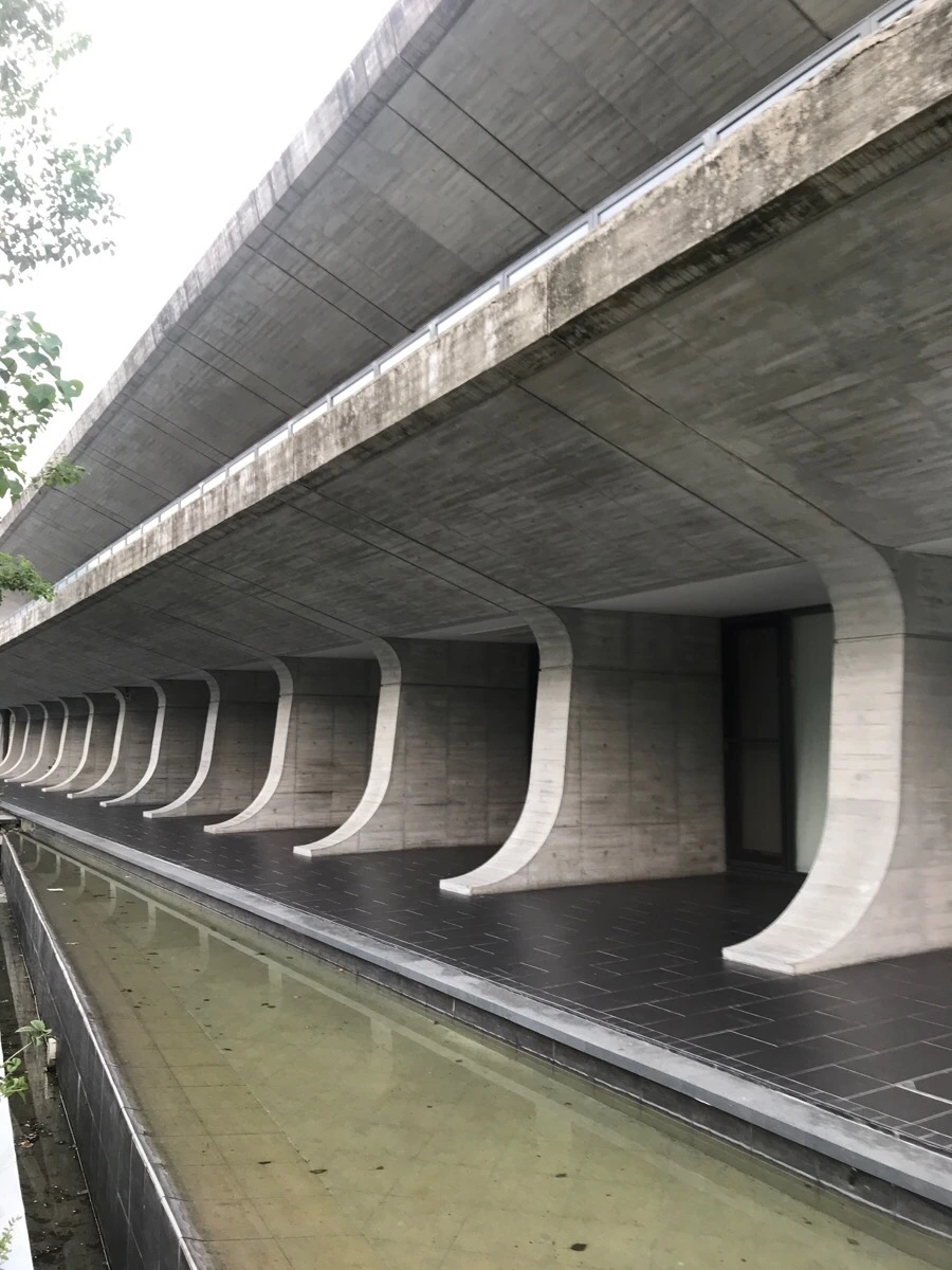 IMG_3091.jpg?type=w966