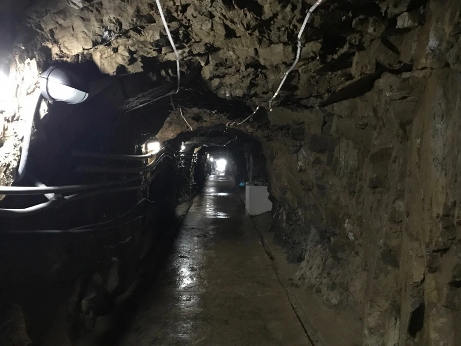 IMG_8432.jpg?type=w966