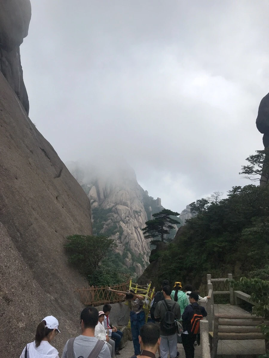 IMG_0822.jpg?type=w966