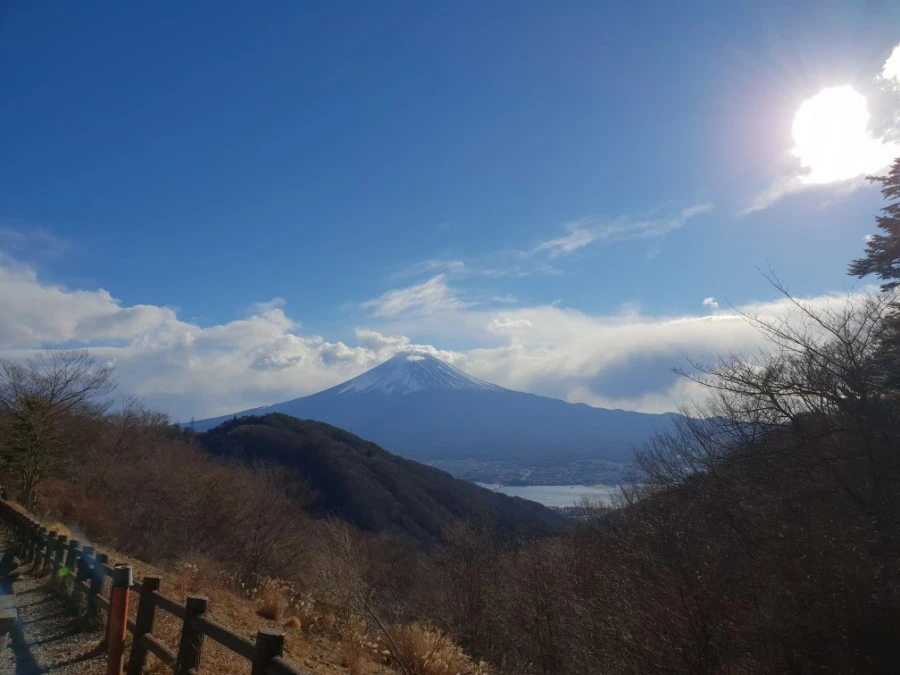 20190126_145521.jpg?type=w1