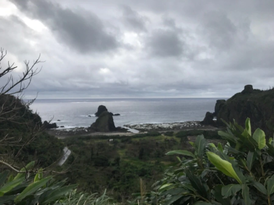 IMG_1601.jpg?type=w966