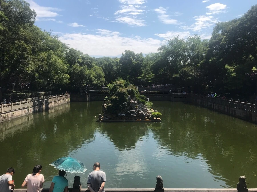 IMG_1212.jpg?type=w966