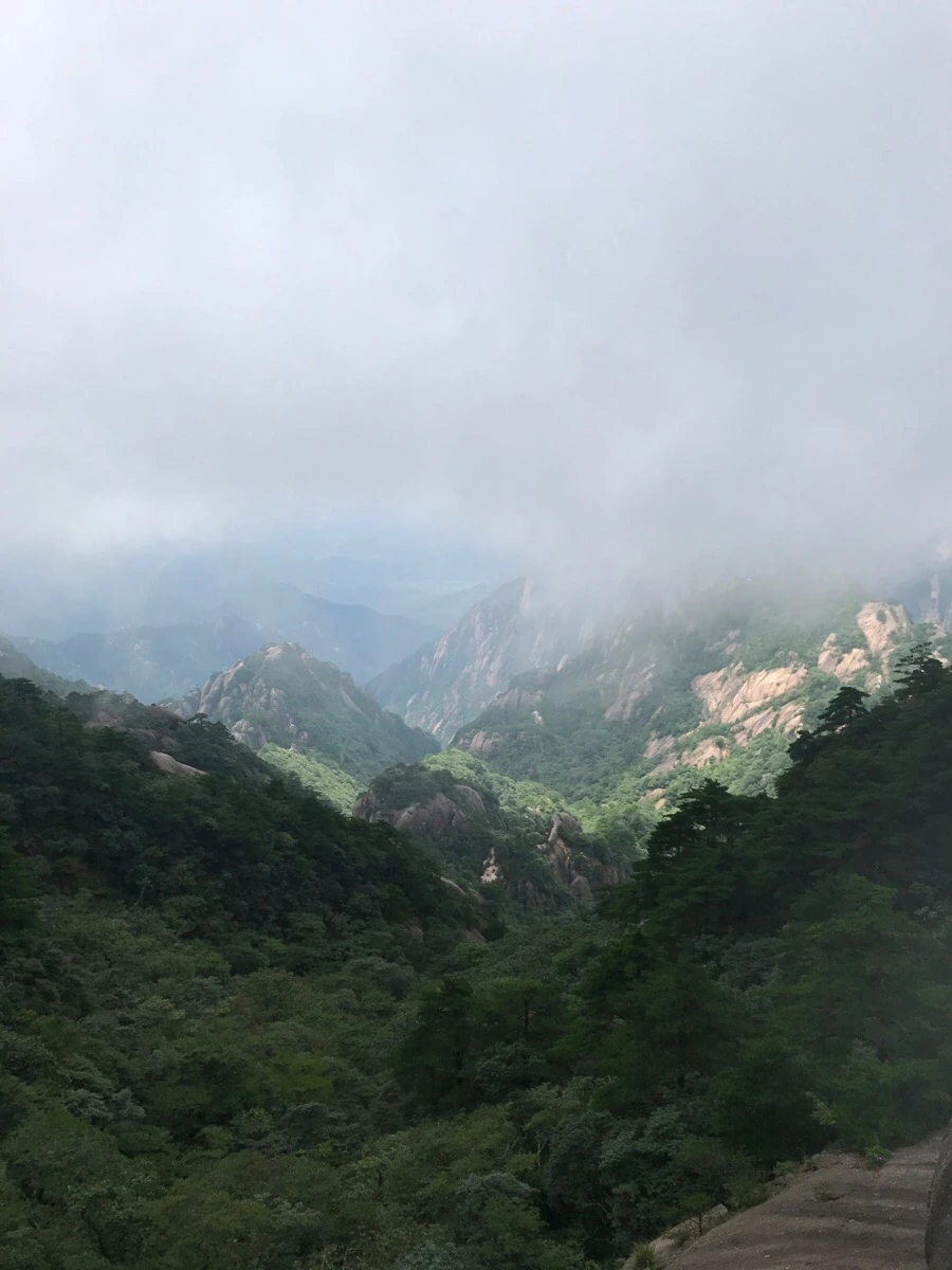 IMG_0817.jpg?type=w966