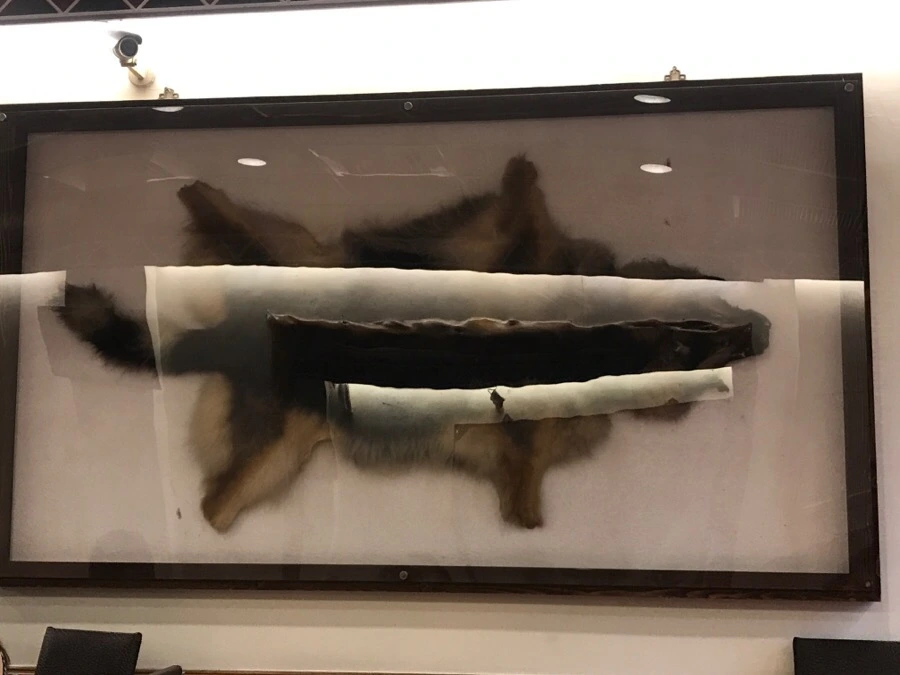 IMG_3160.jpg?type=w966