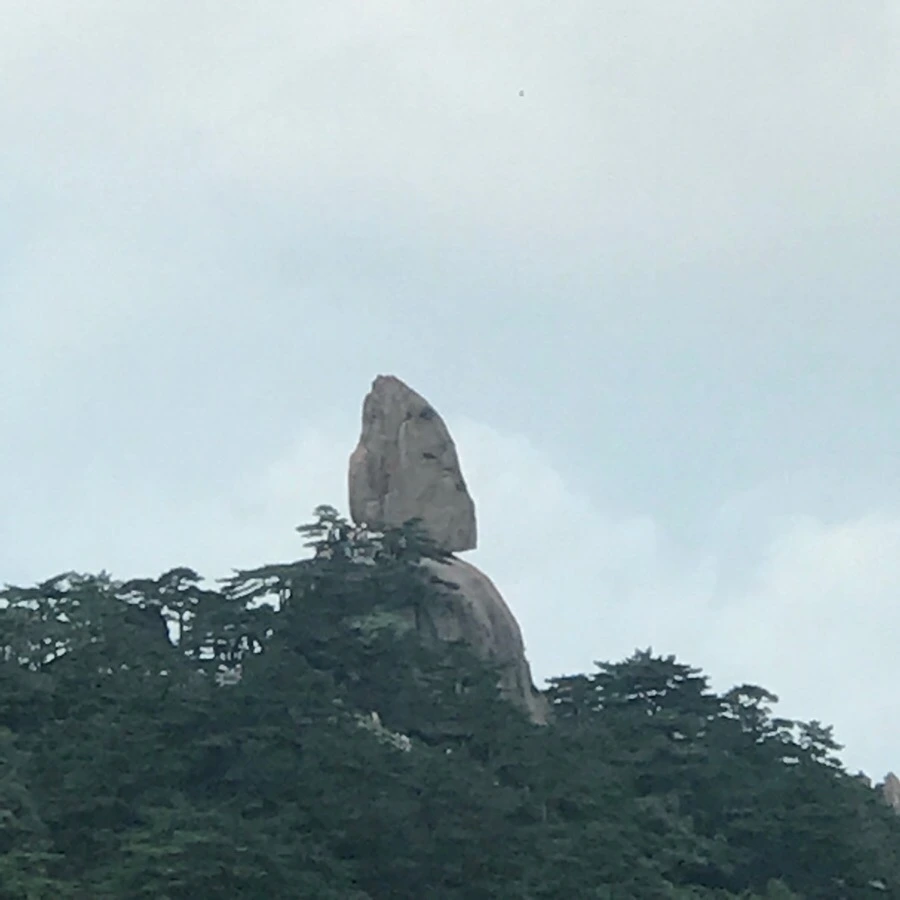 IMG_0751.jpg?type=w966