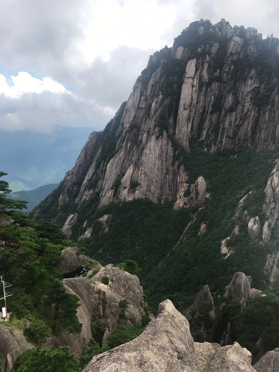 IMG_0929.jpg?type=w966