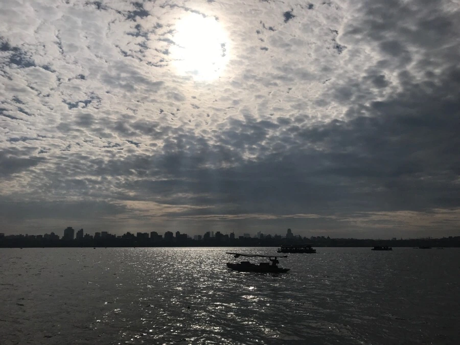 IMG_1087.jpg?type=w966