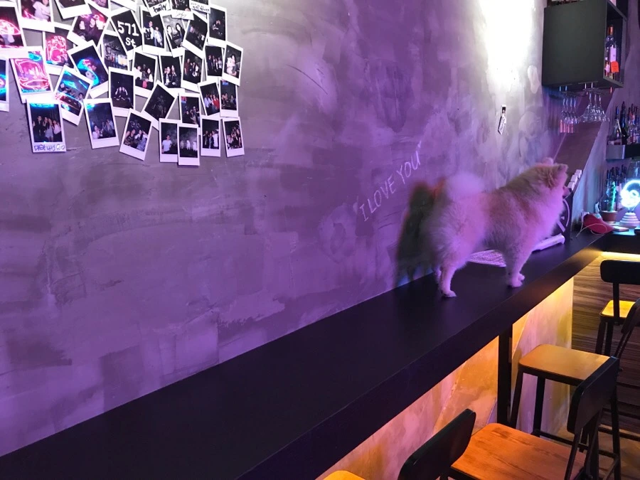 IMG_7599.jpg?type=w966