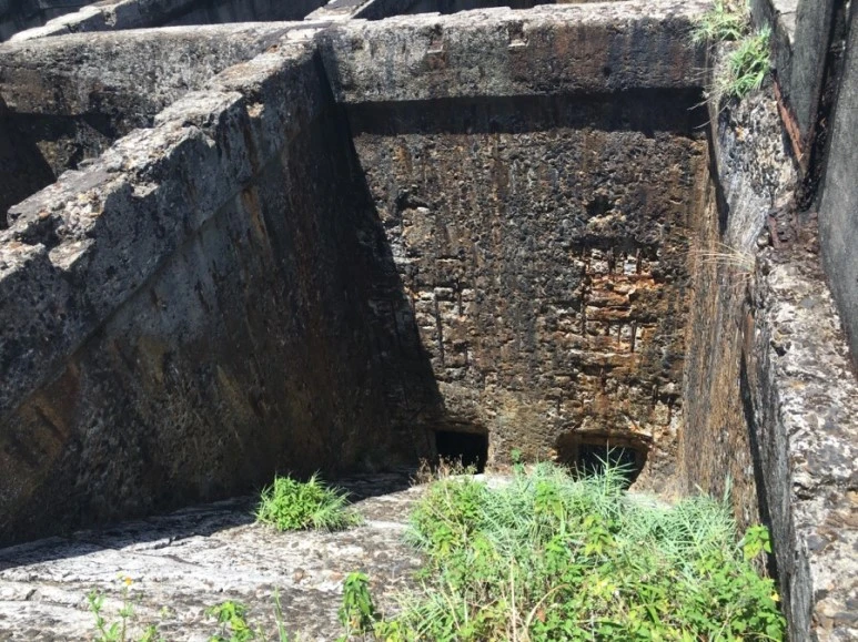 attachImage_2557902761.jpeg?type=w773