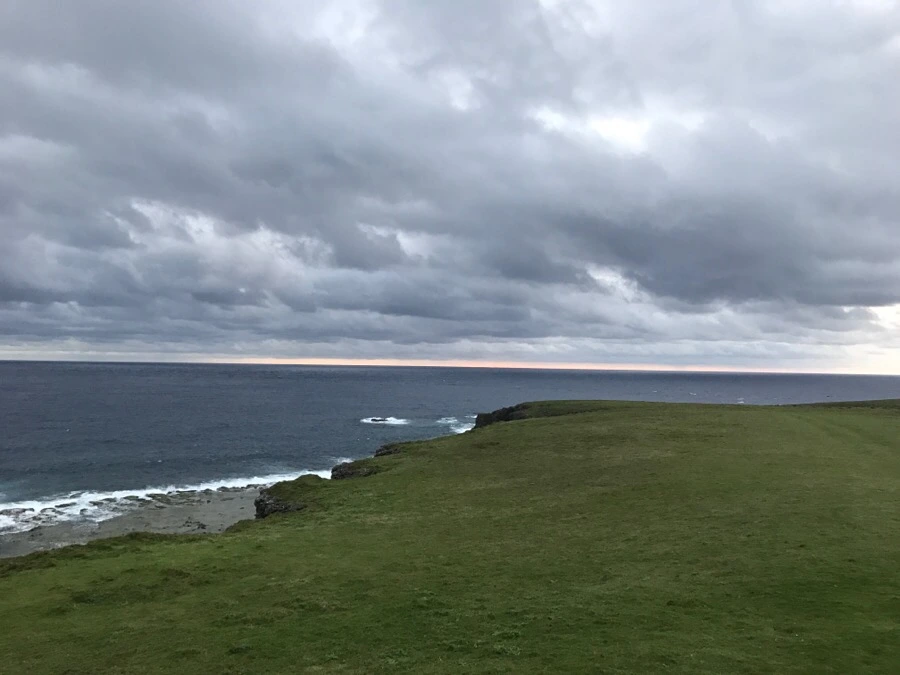 IMG_1512.jpg?type=w966