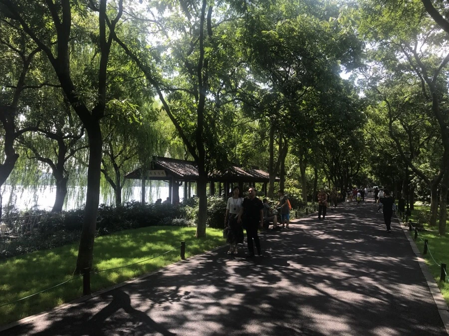 IMG_1176.jpg?type=w1