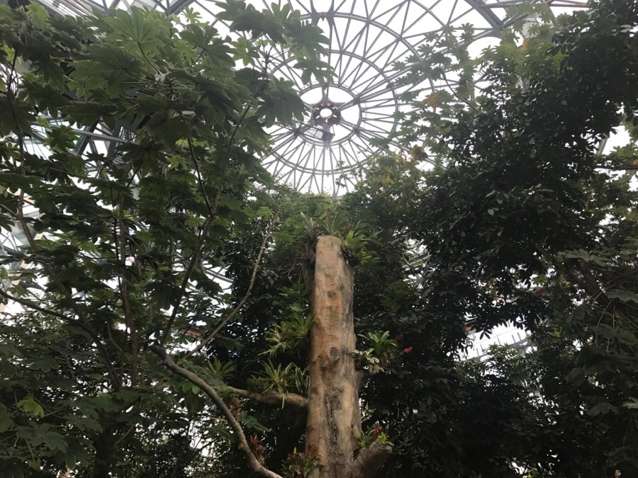 IMG_0388.jpg?type=w966