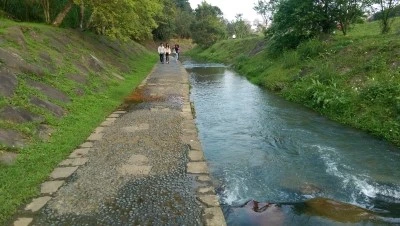 IMAG4183.jpg?type=w2