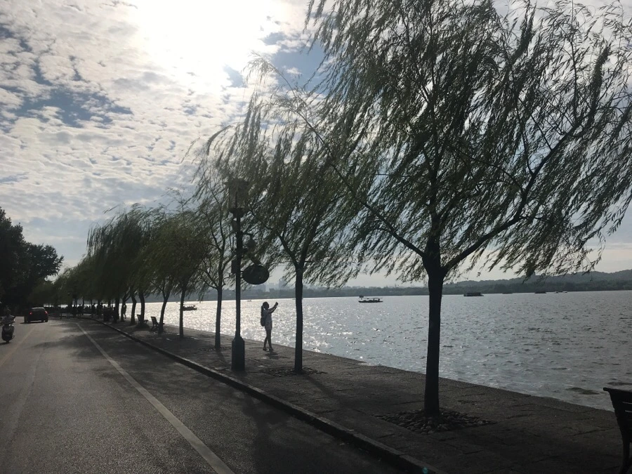 IMG_1092.jpg?type=w966