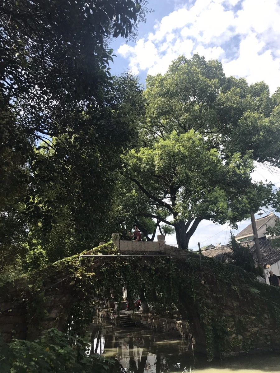 8058142.CCF8C0ECF58B3776AB4AA30B4F94797C.17082108.jpg?type=w1