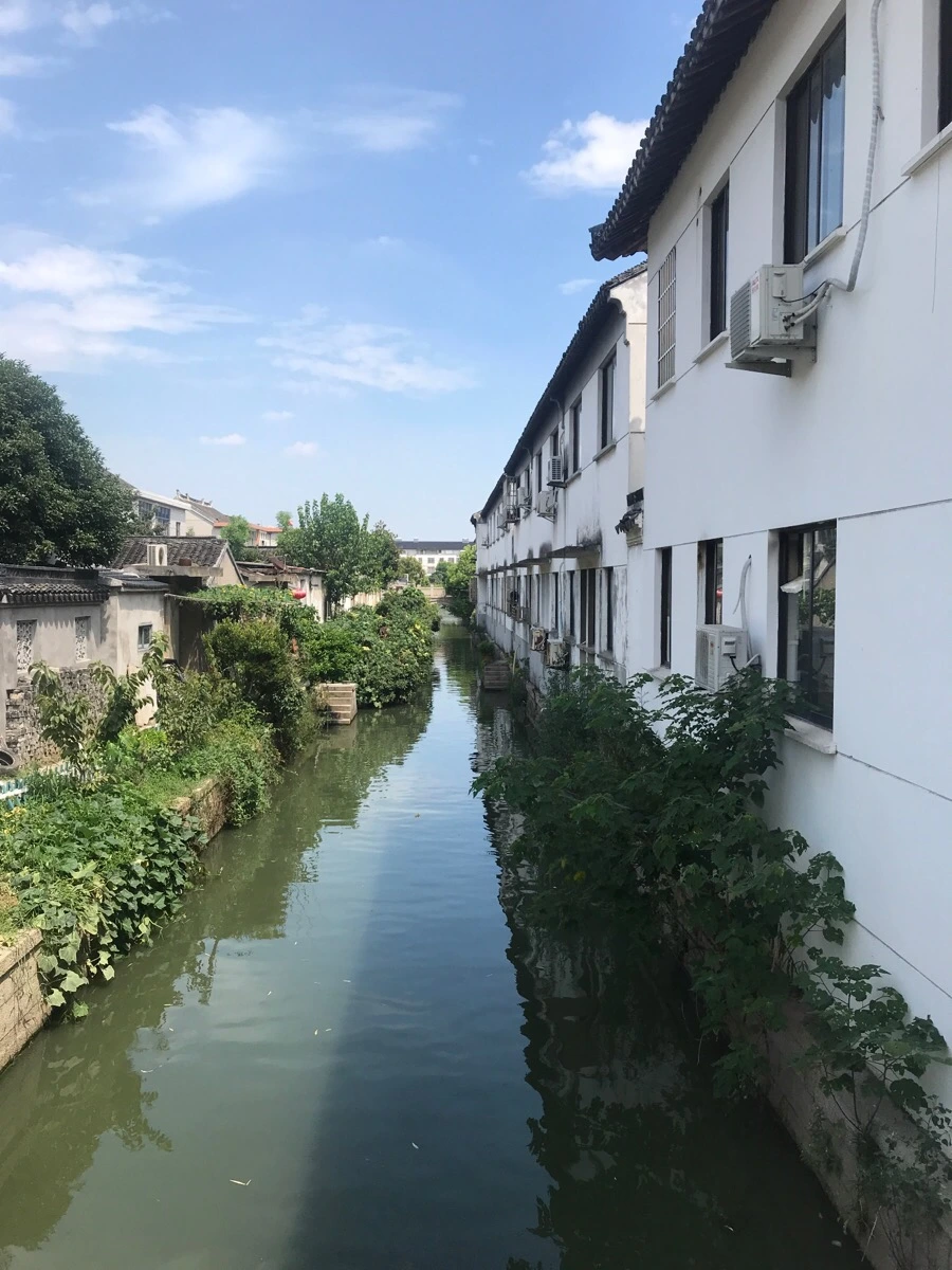 IMG_1395.jpg?type=w1