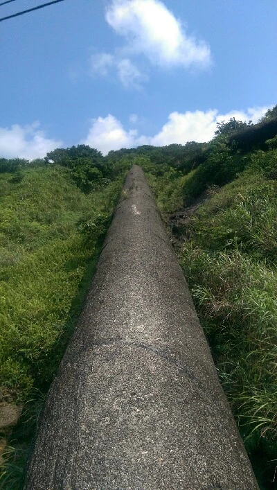 IMAG5698.jpg?type=w773