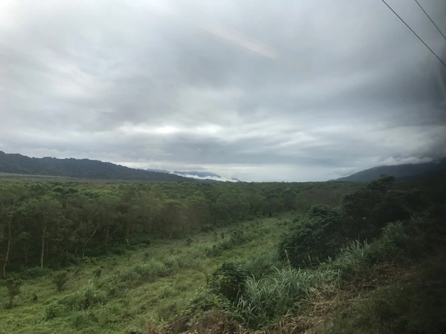 IMG_1352.jpg?type=w966