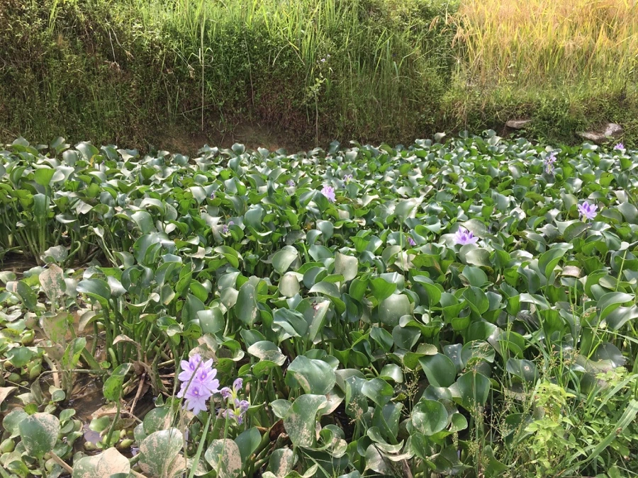 IMG_3409_Original.JPG?type=w1