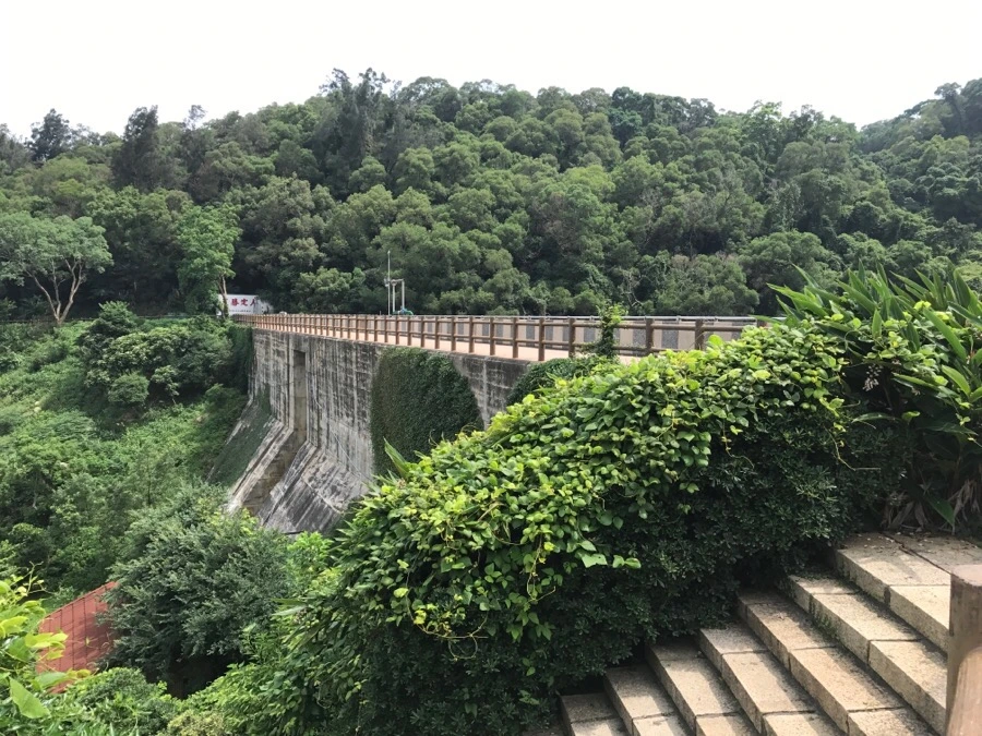 IMG_8363.jpg?type=w966