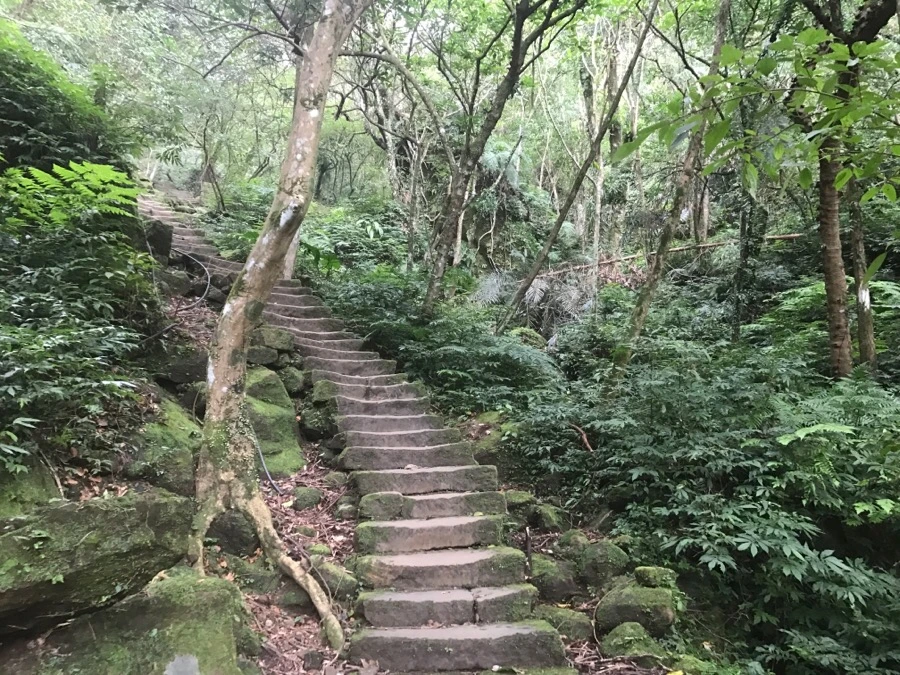 IMG_0978.jpg?type=w966