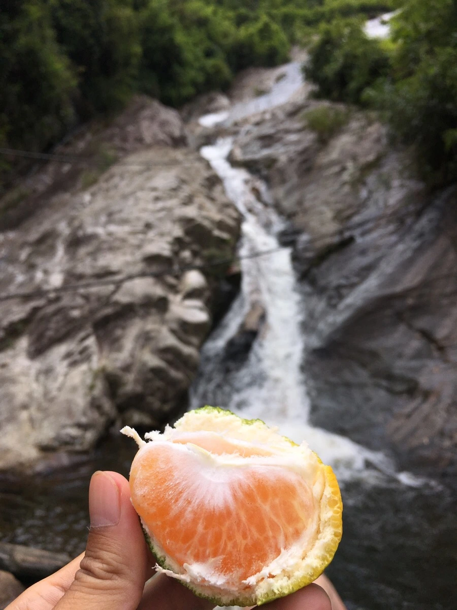 IMG_3587.JPG?type=w1