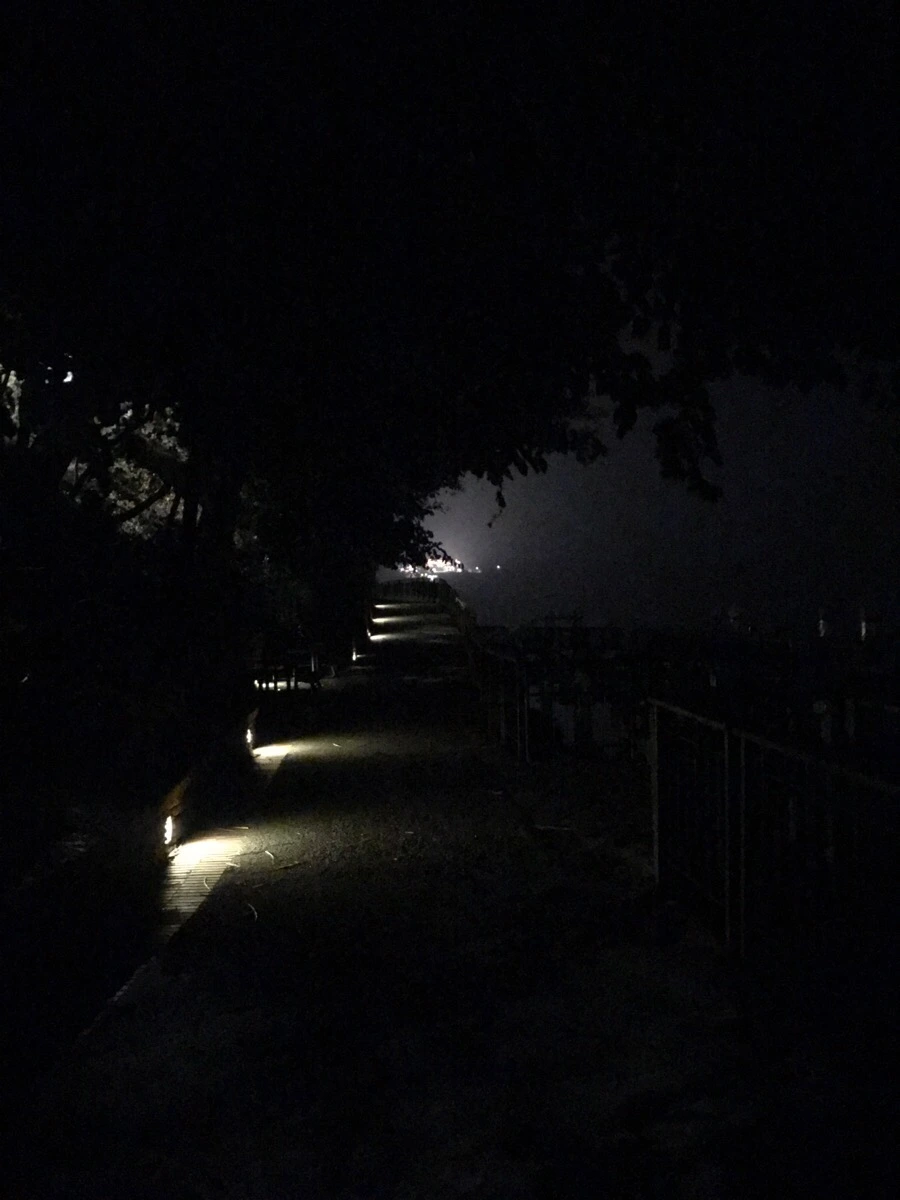 IMG_3176.jpg?type=w966