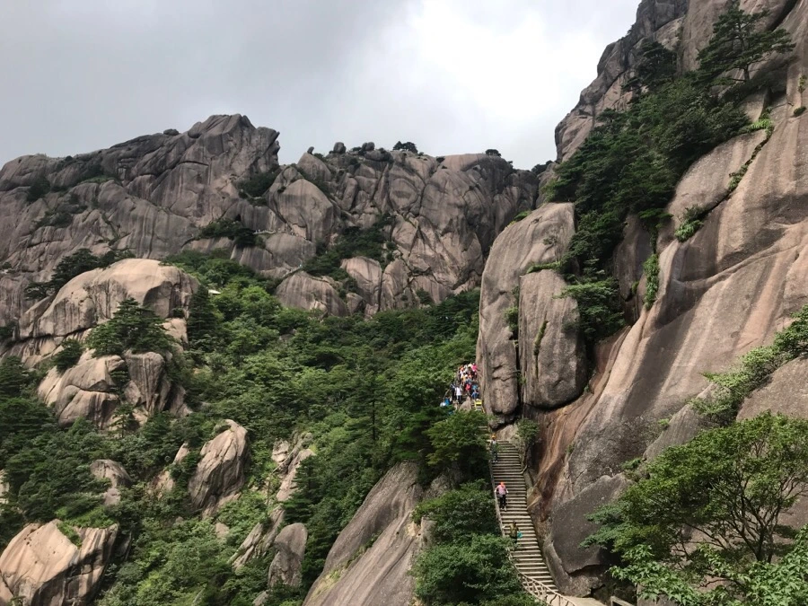 IMG_0851.jpg?type=w966