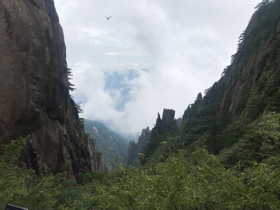 IMG_0753.jpg?type=w966