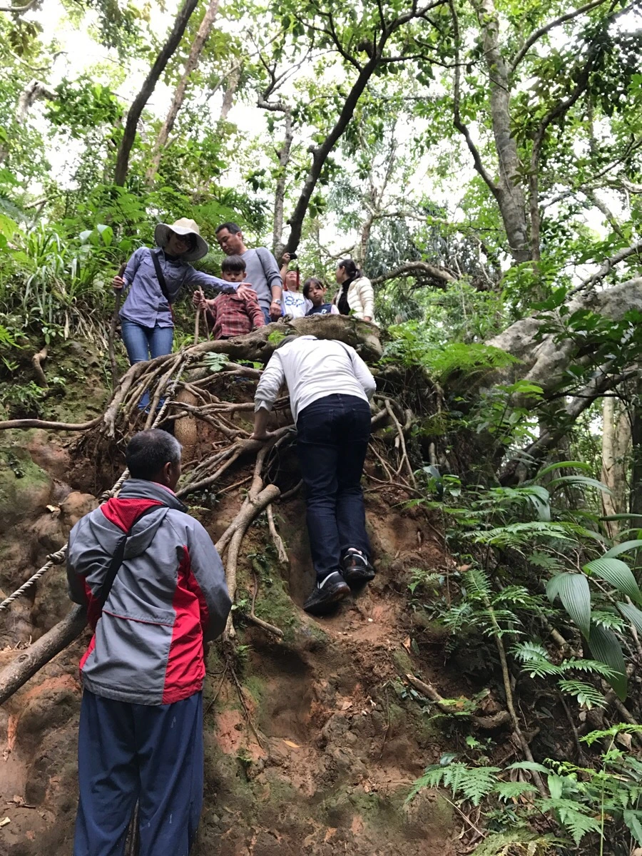 IMG_3646.jpg?type=w966