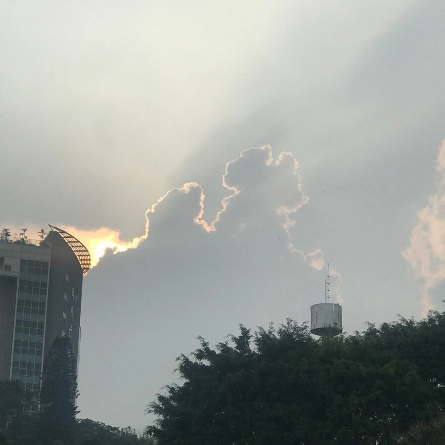 IMG_3044.jpg?type=w966