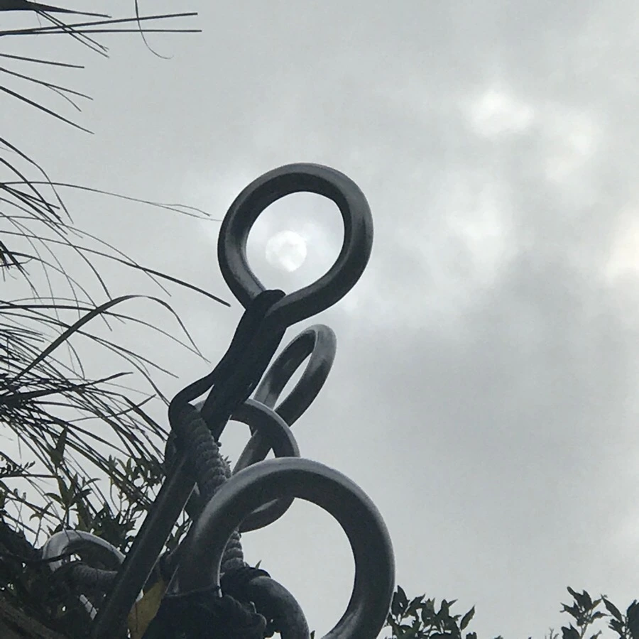 IMG_1056.jpg?type=w966