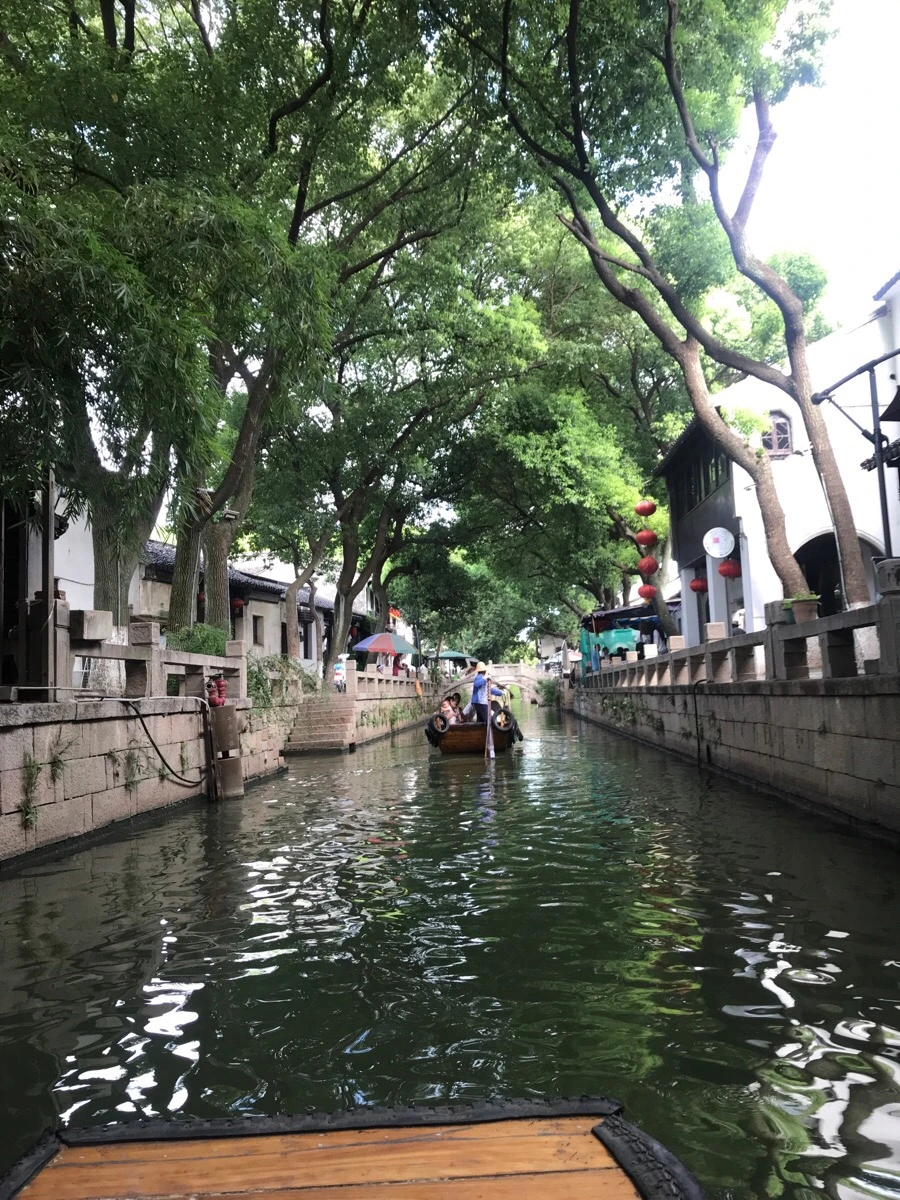 IMG_1517.jpg?type=w1