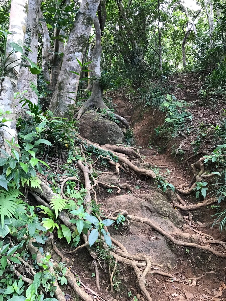 IMG_3641.jpg?type=w966