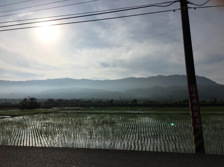 attachImage_522966549.jpeg?type=w773