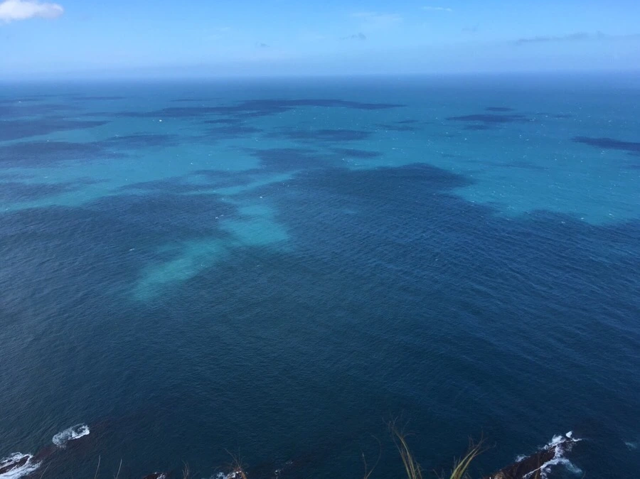 IMG_5221.JPG?type=w1