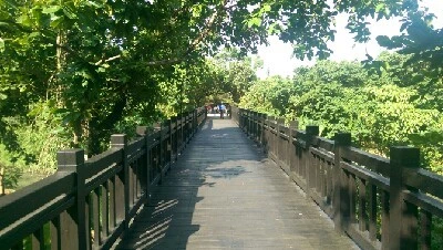 IMAG6214.jpg?type=w773