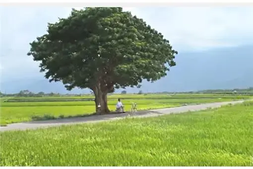 115747-XXL.jpg?type=w773