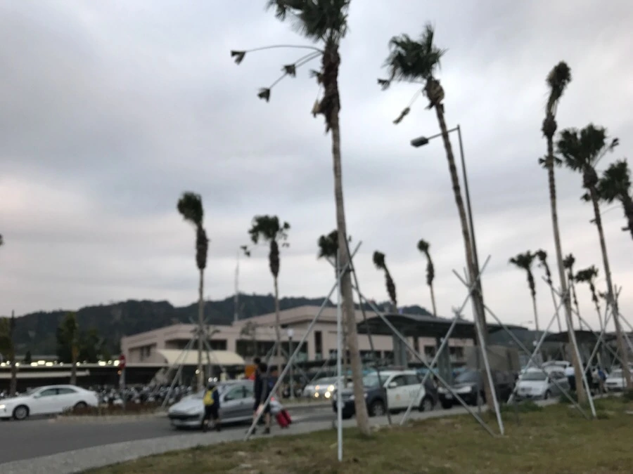 IMG_2156.jpg?type=w966